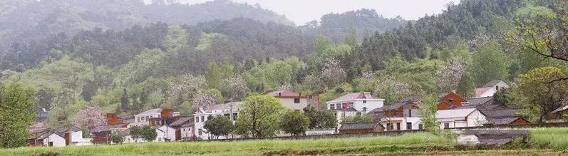 新县陈店乡高湾村阡陌交通鸡犬相闻