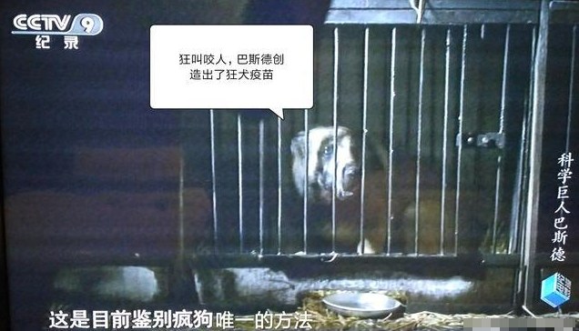 央视纪录片:科学巨人巴斯德狂犬疫苗的诞生 挽救无数人