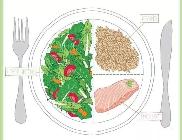 一份健康餐盘的构成