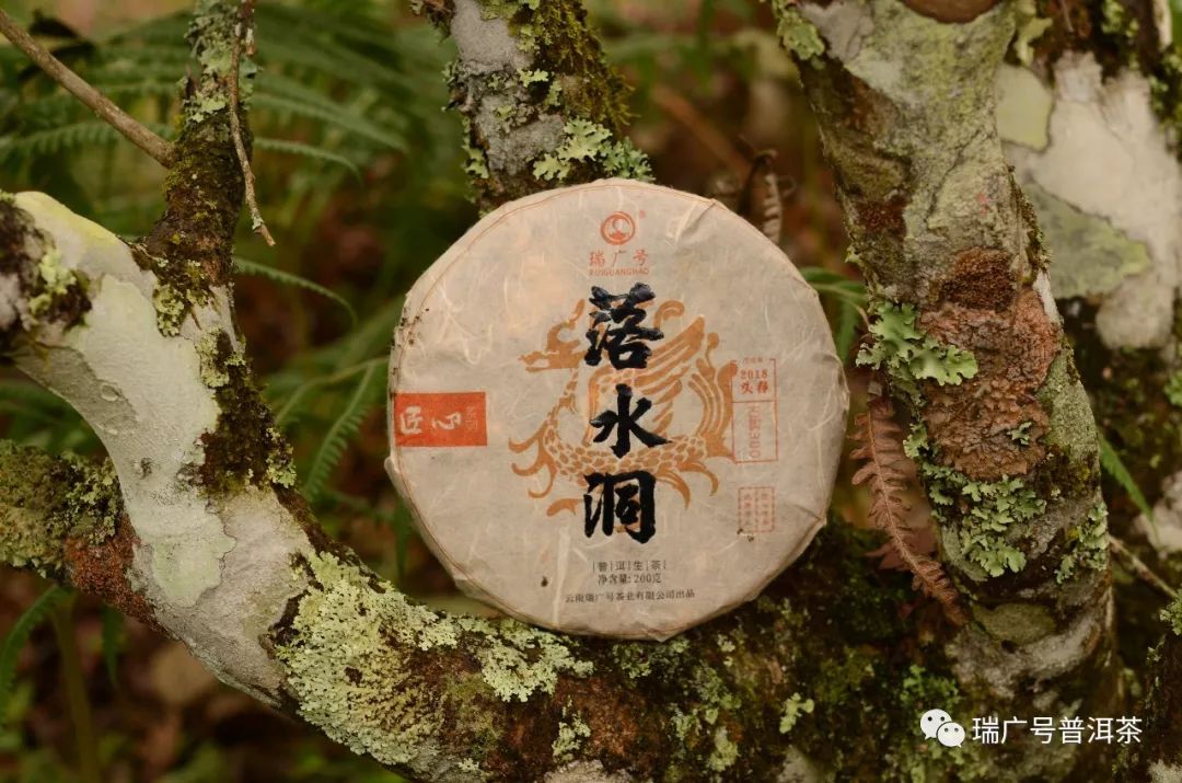 瑞广号2018茶山行第八站丨落水洞—滴水穿石穿,落水有