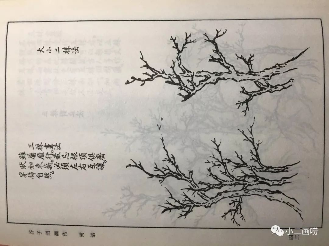 小二画唠芥子园图谱中学树法