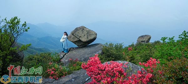 十里杜鹃开成海,四月遇见最美玉华山——丰城仙境