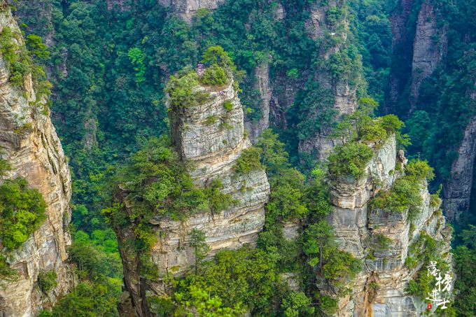 袁家界,这里奇幻的砂岩峰林地貌因《阿凡达》而享誉世界