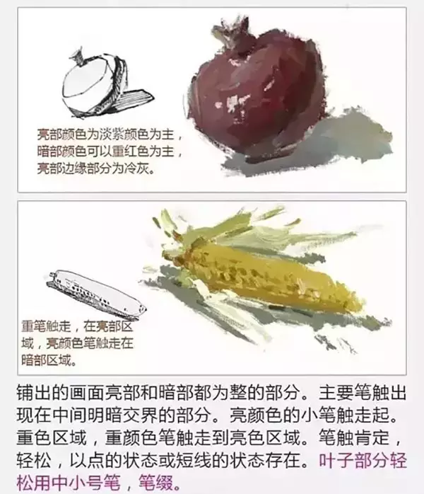 不会画色彩这里有色彩水粉画详细作画步骤