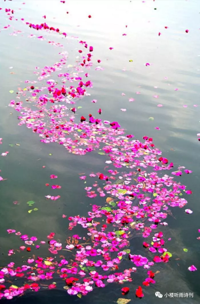 落花已作风前舞,又送黄昏雨