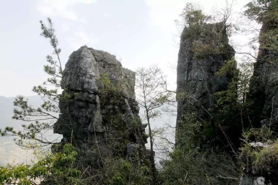 邓家乡楠木村,一条令人叹奇的山水园林游廊