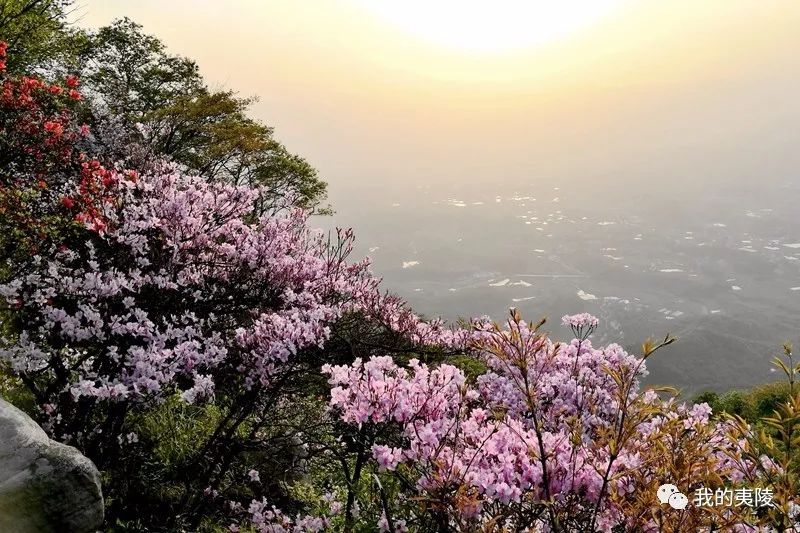 背马山村地处湖北省宜昌市夷陵西北山区黄花乡东部,相传古时关云长在