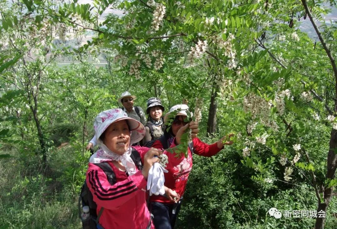 好吃好玩好看尽在中国新密九里山槐花节来嗨吧