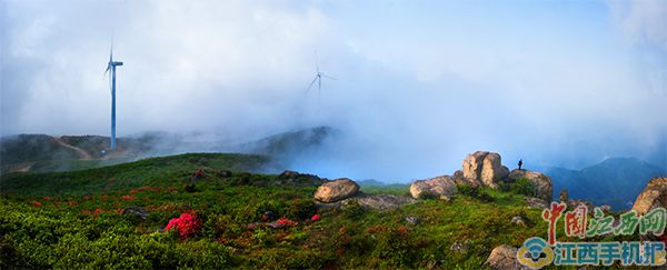 十里杜鹃开成海,四月遇见最美玉华山—丰城仙境