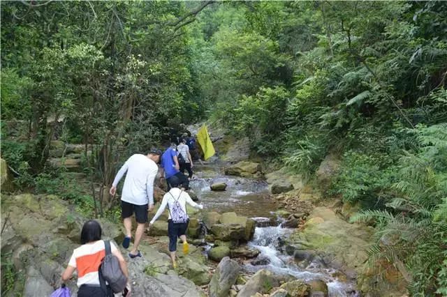 【五一可用】【泼水节】何须去泰国~恩平那金谷泼水节