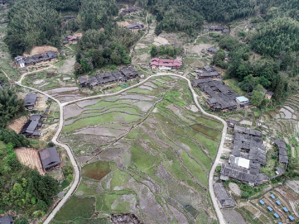 尤溪县西城镇新坑村,原名新林,新秀,旧