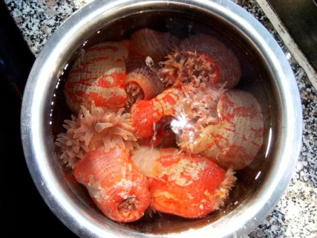 海葵海葵做法弶港比较喜欢用海葵烧豆腐,烧散子海葵身体具有较强的