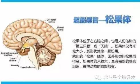 1 初步激活松果体,开启基础感知力2 掌握一部分记忆方法3 开心快乐