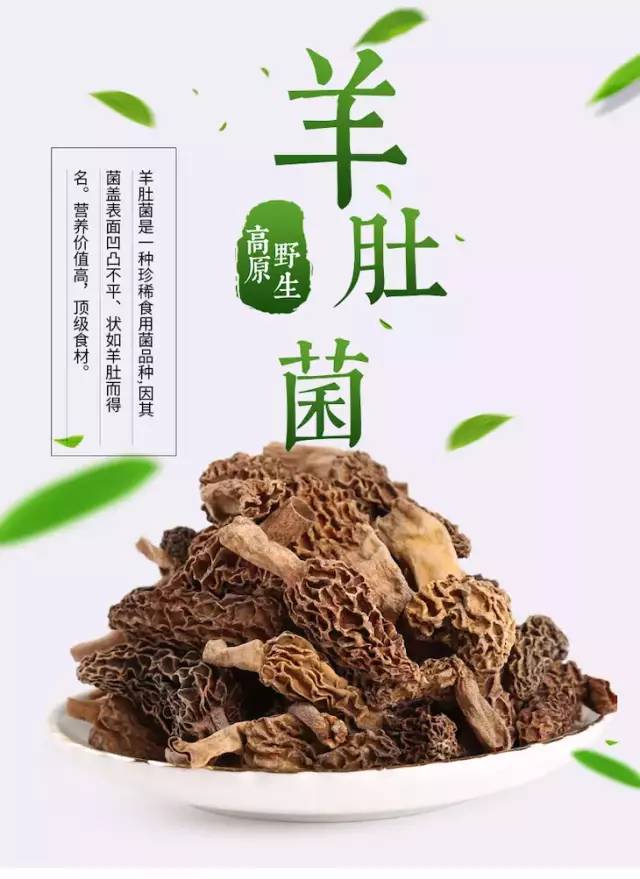 广告| 这种野生干菌,保持住了鲜菌时的美味和营养