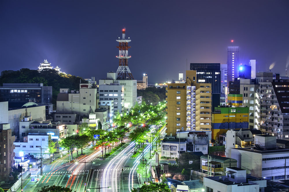 japan的人口_人口普查