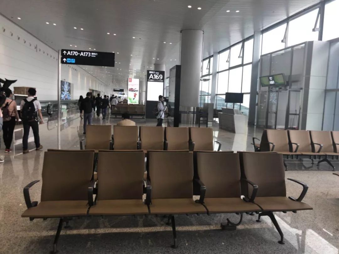 首都机场T2航站楼 - 鑫艺园环保科技有限公司