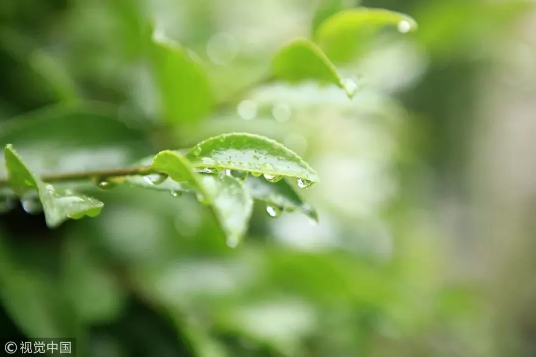 古人认为,"雨生百谷"