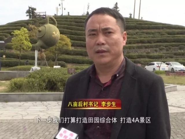 醉美乡村系列报道之十桥墩八亩后村茶韵悠扬绿水青山成金山银山