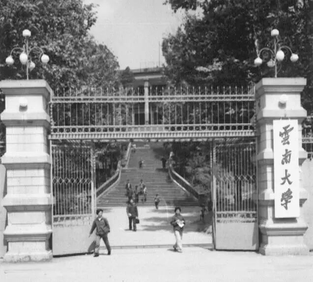教育 正文  20世纪40年代,云南大学已发展成为一所包括文,法,理,工,农