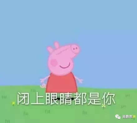 社会人小猪佩奇:不知道我有多火?你已经抛弃同龄人成为老龄人了