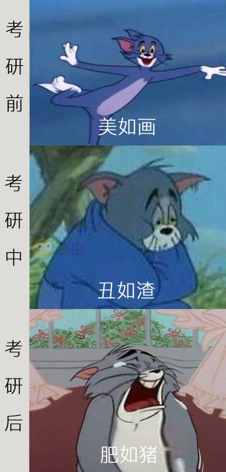 我最爱的汤姆猫完美的诠释了备考前后的"我".