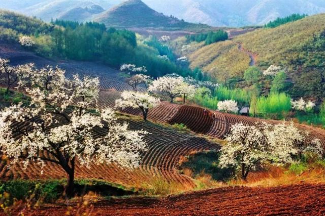 赏花,观鸟,踏青登山统