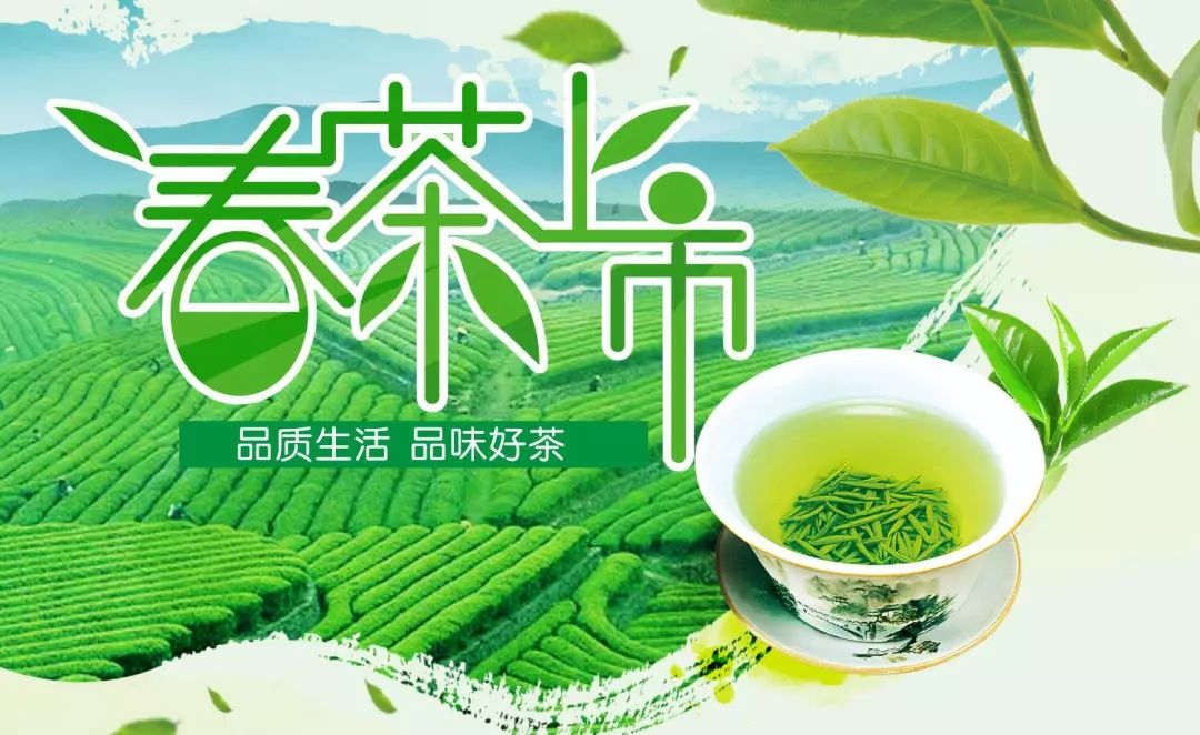 【西亚春茶上市】品一杯好茶,享一份春意