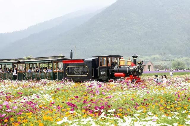 去笕川花海,品人间四月