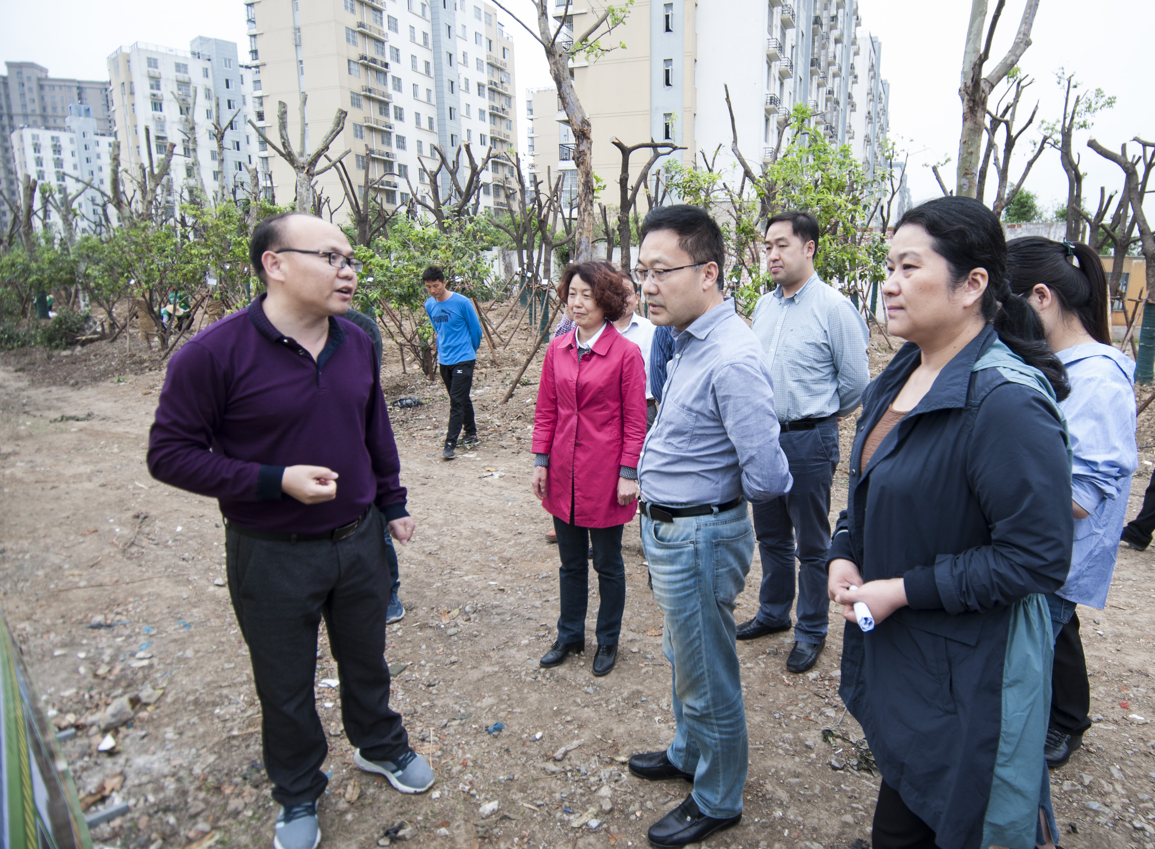 合肥市瑶海区委书记黄卫东专项督查嘉山路街道文明