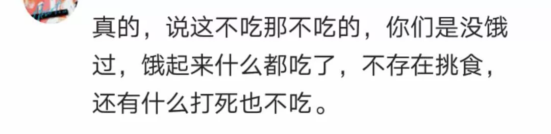 大家说说有哪些食物你就算饿死都不吃的?网友神回复