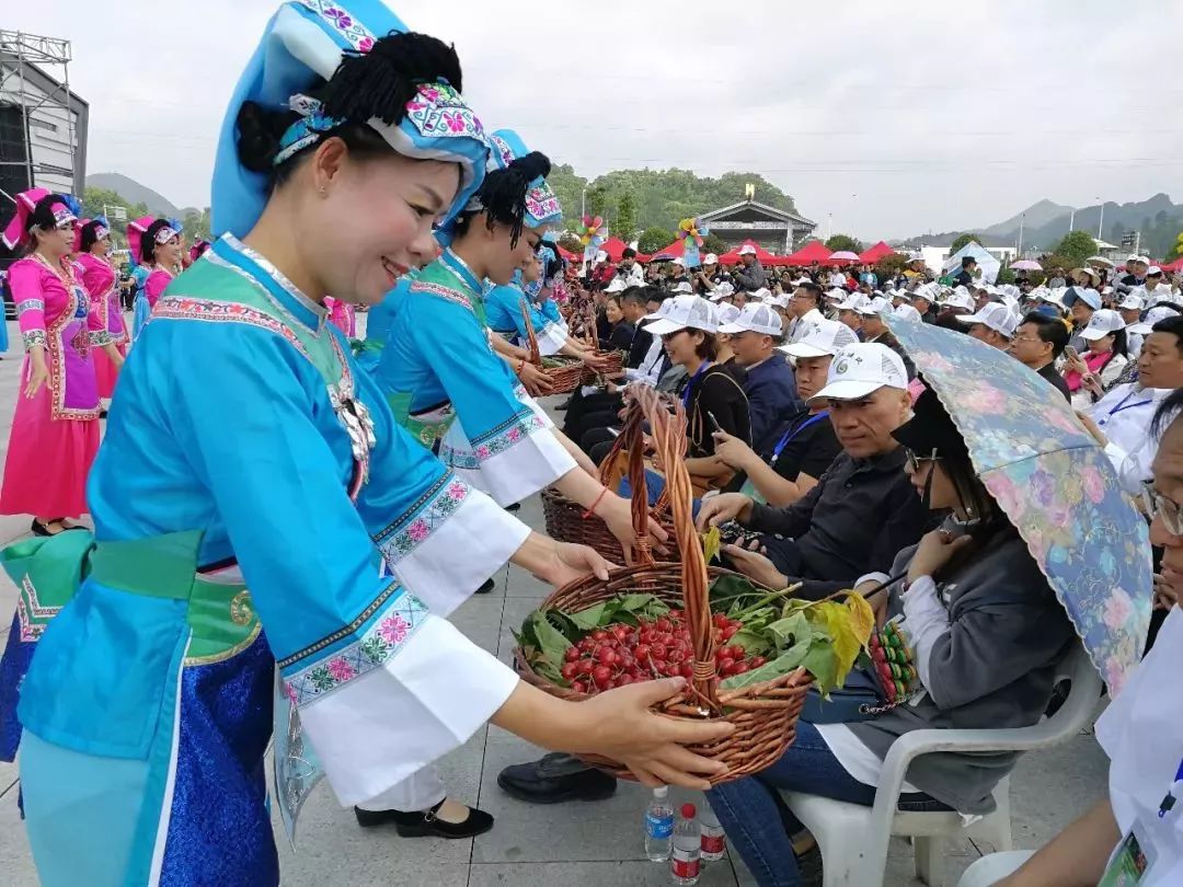 樱桃盛会玩不停!落别岩脚等你来!