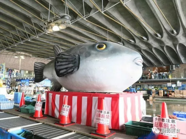 日本这些海鲜市场,最适合让味蕾暴走自由行!
