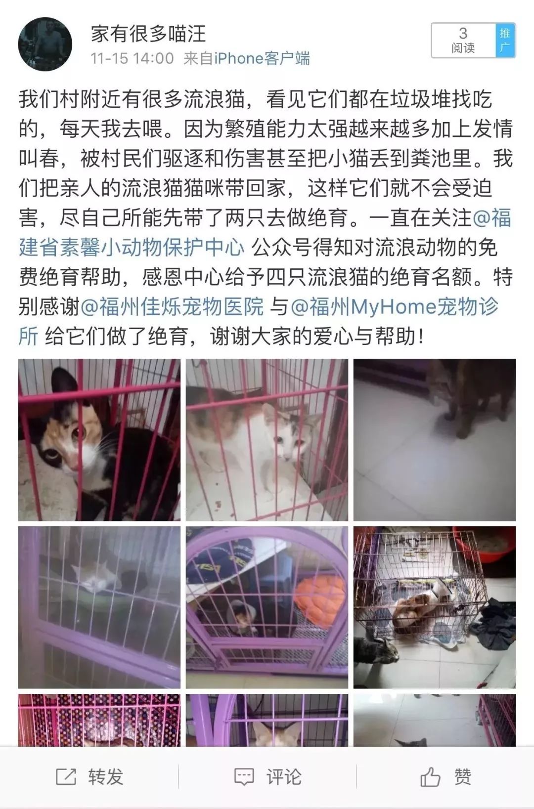 猫姓的人口_人口普查图片(3)