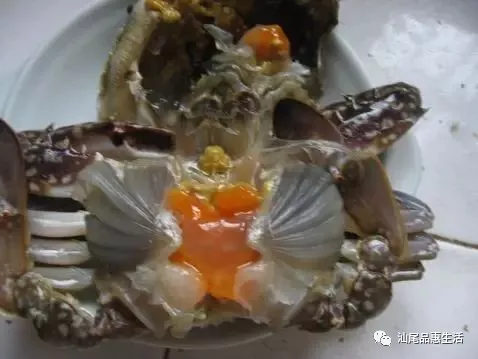 咸蟹子怎么吃