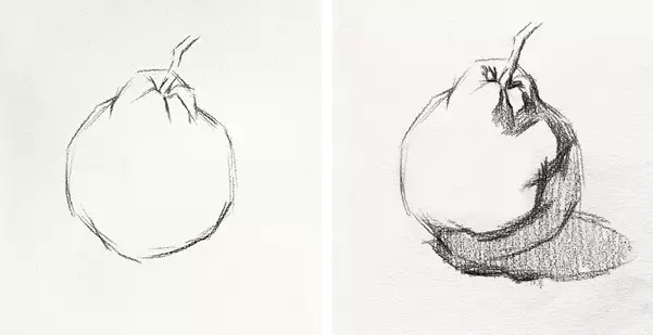 最实用的五种水果素描静物单体绘画步骤