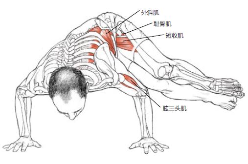 鹤臂市人口_人口普查(2)