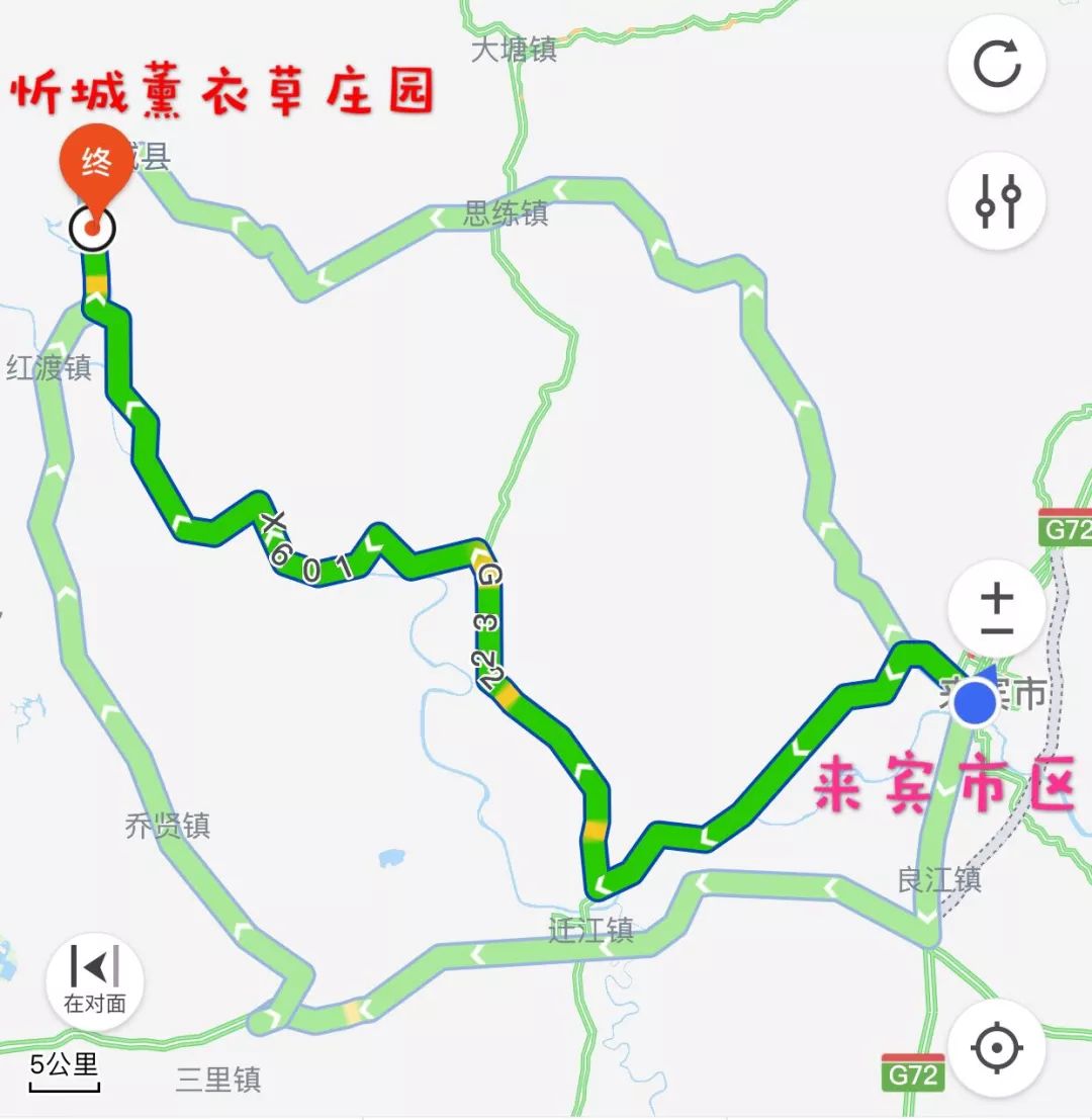 来宾到 忻城薰衣草庄园景区的自驾路线图▽