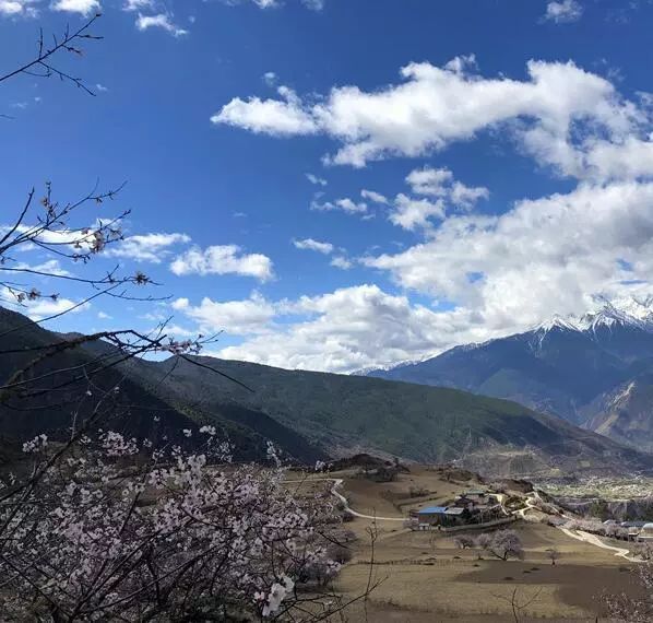 旅游 正文  江坡村隶属德钦县佛山乡,由七个村民小组(江坡村一社,二社