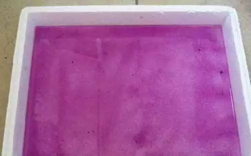 2,倒入稀释的高锰酸钾溶液,颜色紫红即可,不需浓到深紫色或紫黑色.