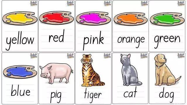 第七部分英语单词卡片:饮料和食品(颜色和动物)