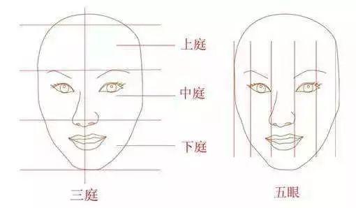 人口衰老型_人口普查(2)