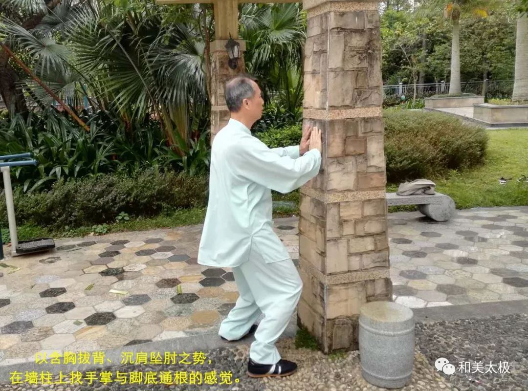 【陈雄聊太极拳 18】含胸拔背与沉肩坠肘的练法(附图)