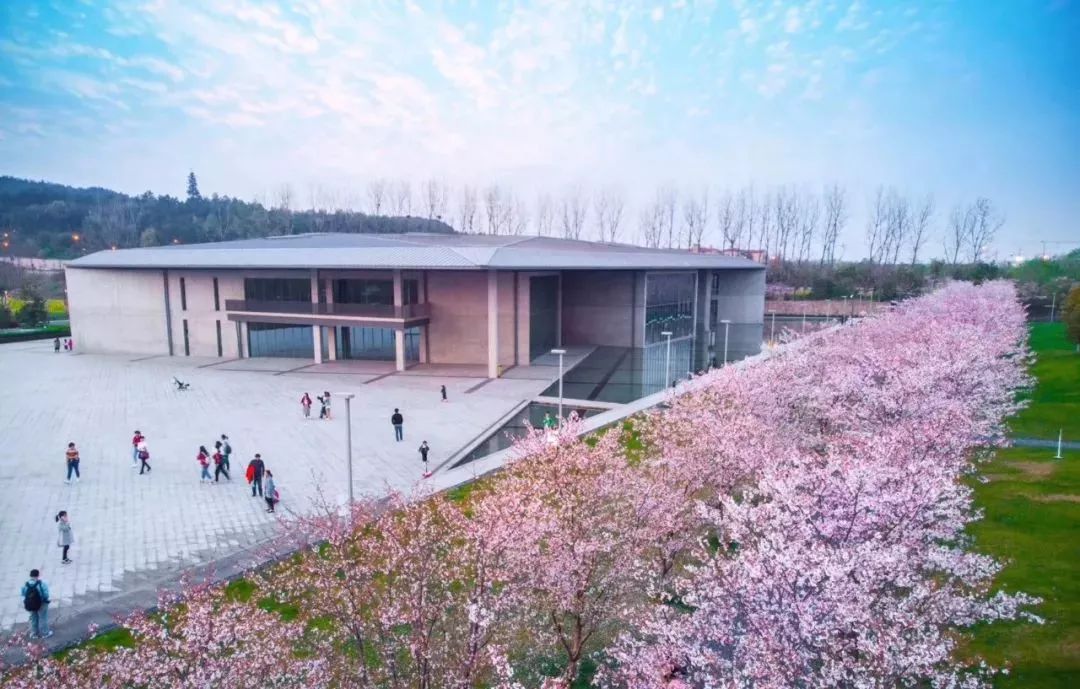 高晓松在杭州开了家免费图书馆，本只想做公益，却凭颜值美成了网红!_搜狐旅游_搜狐网