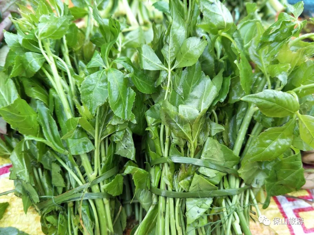 真不赶相信那些昌宁山茅野菜能治病又能解馋你吃过几种