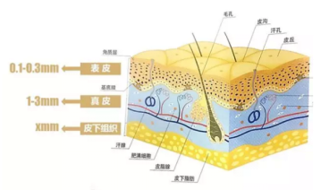 1,皮脂膜保护对于面部的保养,所有人都了解其重要性,并且也已慢慢有了