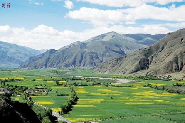 绿洲农业和河谷农业，我国西北地区和青藏地区的特色农业方式