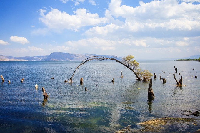 海舌生态公园