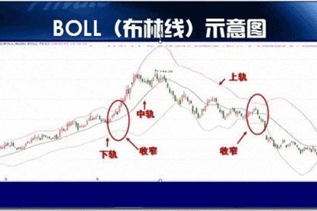 美国的农业人口_美国农业带分布图(3)