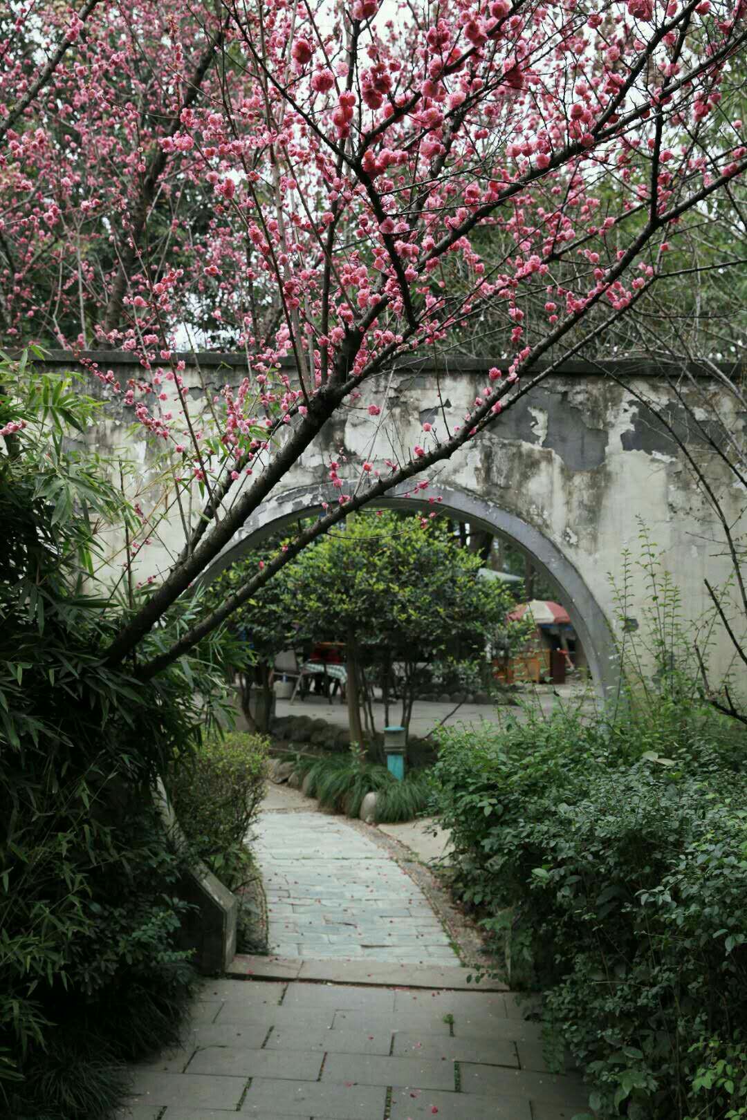 五月浅夏，蔷薇花开——到秀丽东方抓住春天的尾巴！-成都旅游攻略-游记-去哪儿攻略