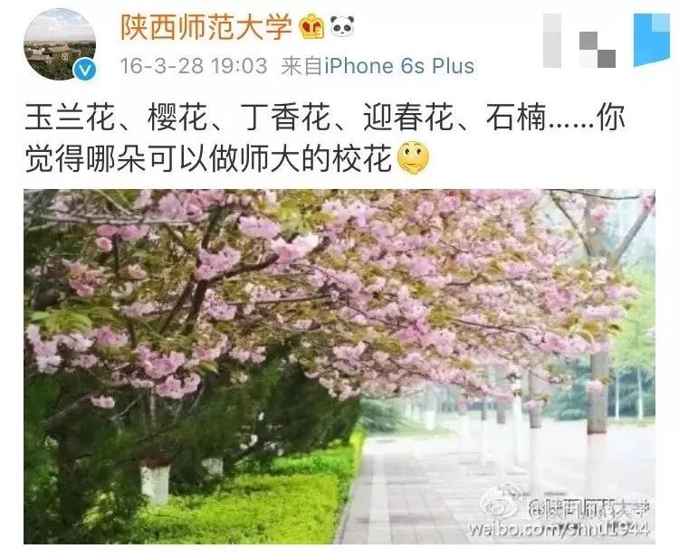 陕西师范大学首届"校花"评选,你中意谁?